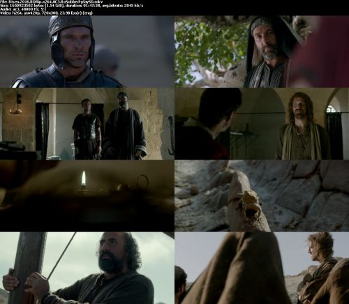 Risen 2016 BDRip x264 AC3 RoSubbed-playSD