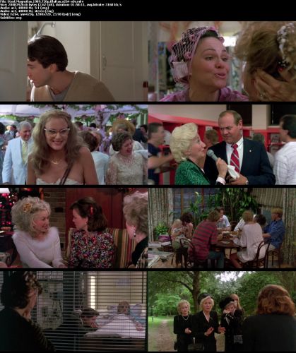 Steel Magnolias 1989 720p BluRay x264 x0r