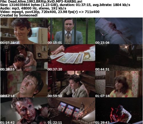 Dead Alive 1992 BRRip XviD MP3-RARBG