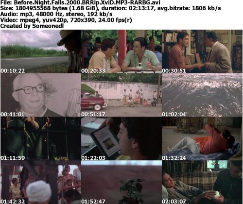 Before Night Falls 2000 BRRip XviD MP3-RARBG