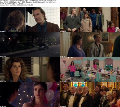 My Big Fat Greek Wedding 2 2016 720p BRRip X264 AC3-PLAYNOW
