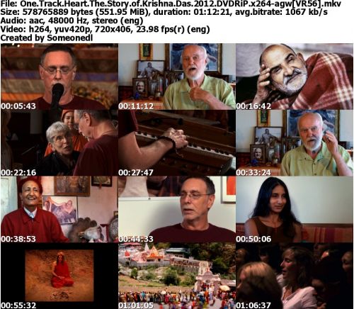 One Track Heart The Story of Krishna Das 2012 DVDRiP x264-agw