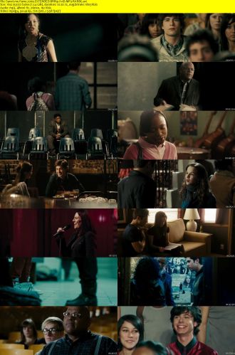 Fame 2009 EXTENDED BRRip XviD MP3-RARBG