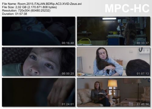 Room (2015) .avi BDRip AC3 iTALiAN
