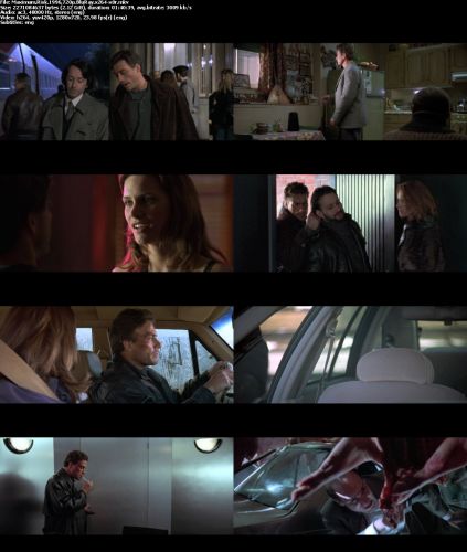 Maximum Risk 1996 720p BluRay x264 x0r