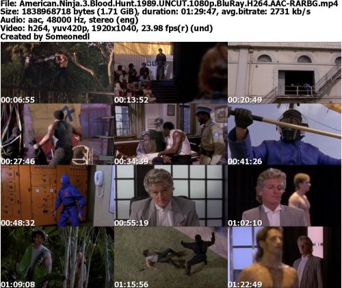 American Ninja 3 Blood Hunt 1989 UNCUT 1080p BluRay H264 AAC-RARBG