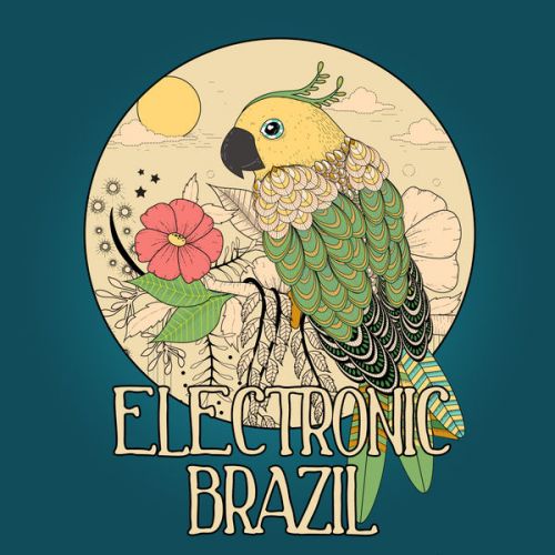 VA - Electronic Brazil, Vol. 1 (Brazilian Flavoured Lounge Tunes)(2016)