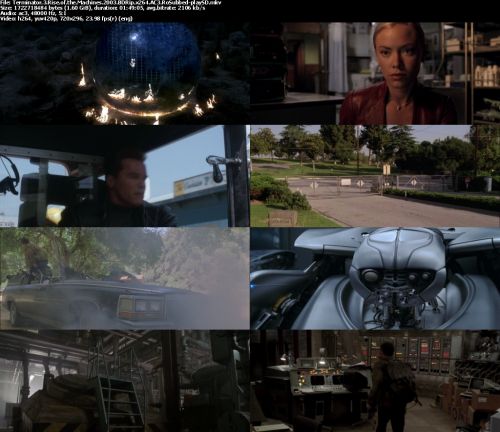 Terminator 3 Rise of the Machines 2003 BDRip x264 AC3 RoSubbed-playSD