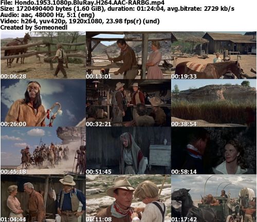 Hondo 1953 1080p BluRay H264 AAC-RARBG