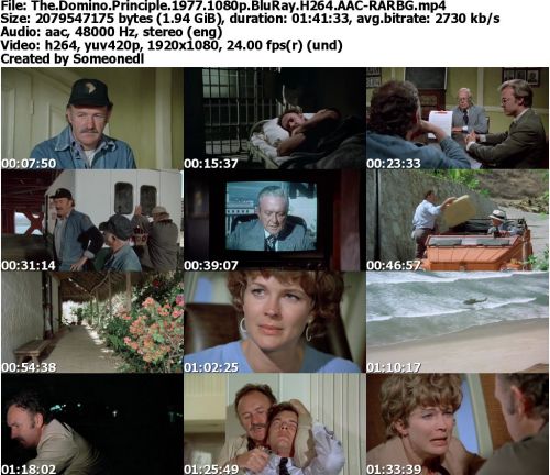 The Domino Principle 1977 1080p BluRay H264 AAC-RARBG