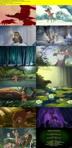 Bambi II 2006 1080p BluRay x264-7SiNS