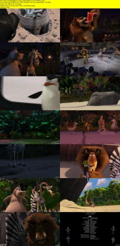 Madagascar 2005 1080p BluRay x264-CiNEFiLE