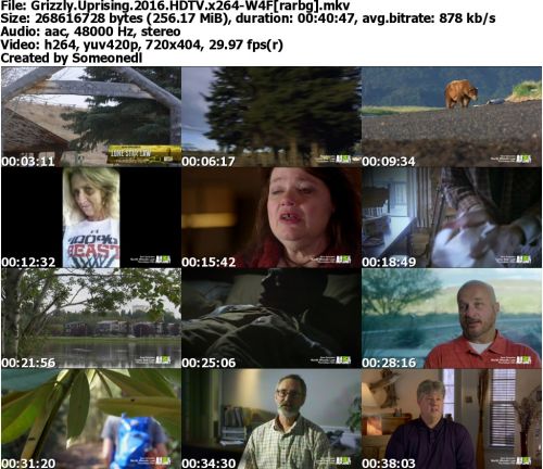 Grizzly Uprising 2016 HDTV x264-W4F