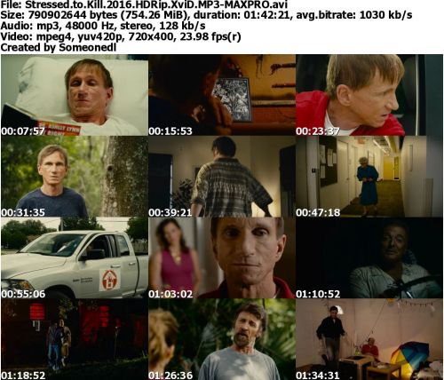 Stressed to Kill 2016 HDRip XviD MP3-MAXPRO