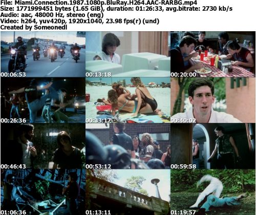 Miami Connection 1987 1080p BluRay H264 AAC-RARBG
