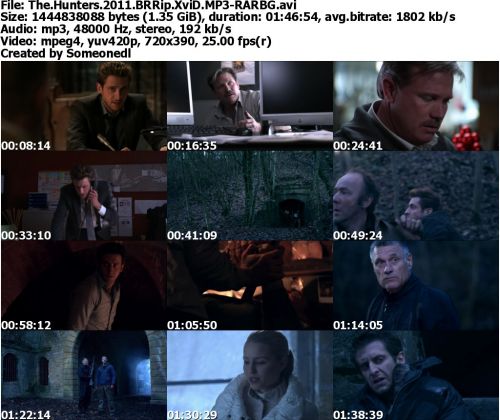 The Hunters 2011 BRRip XviD MP3-RARBG