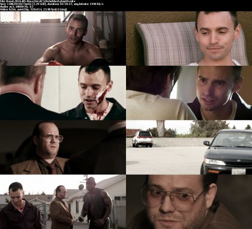 Boost 2016 BDRip x264 AC3-playSD