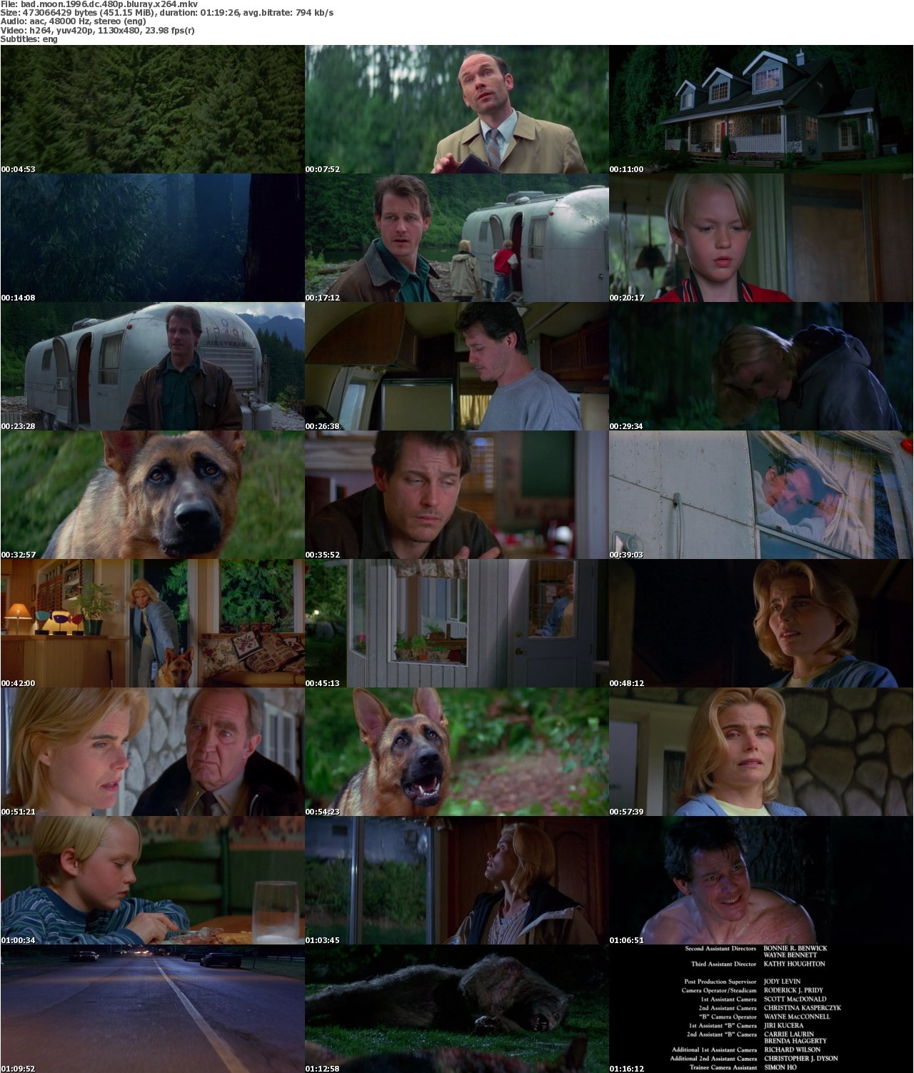 Bad Moon 1996 DC 480p BluRay x264
