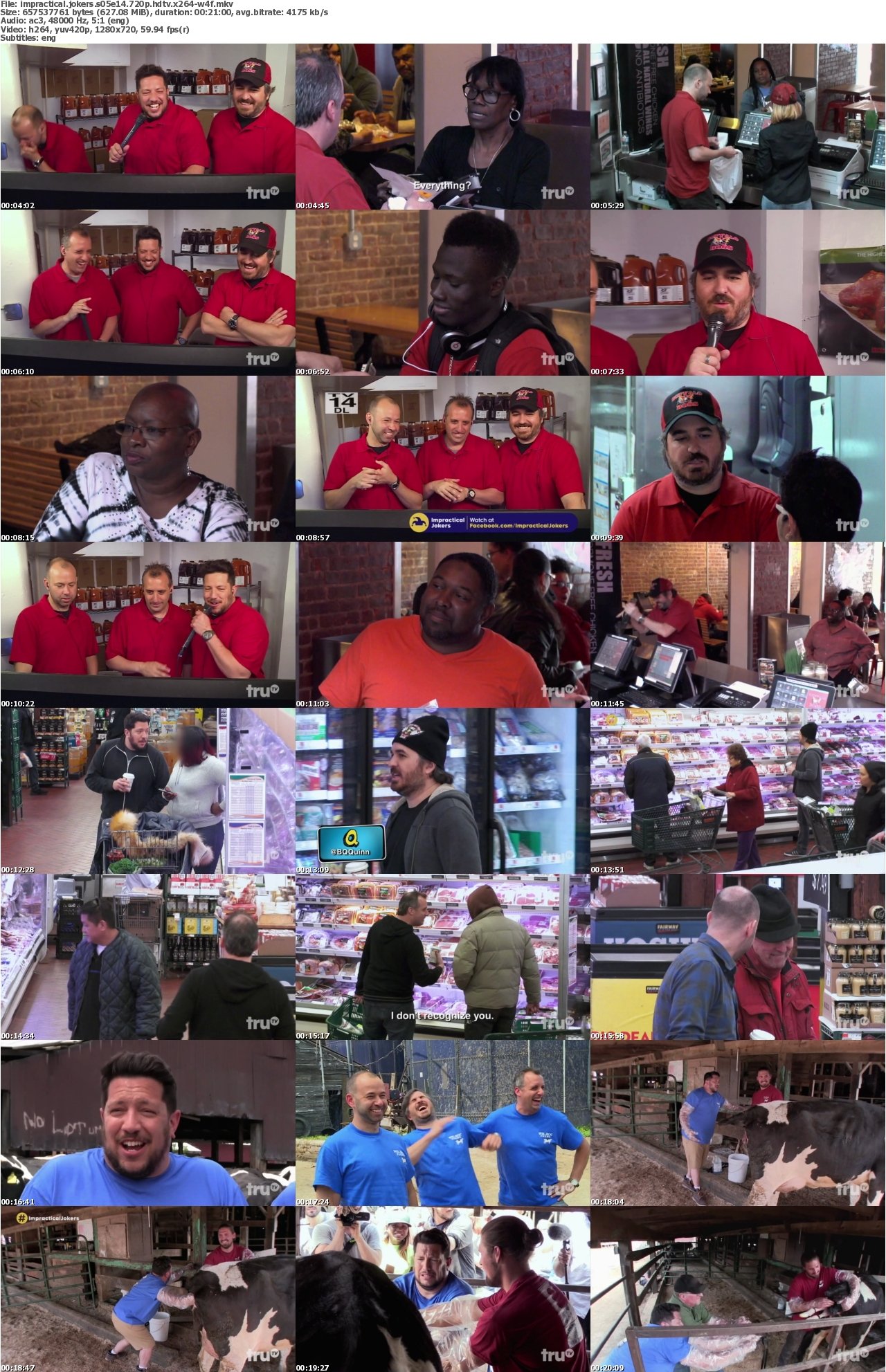 Impractical Jokers S05E14 720p HDTV x264-W4F