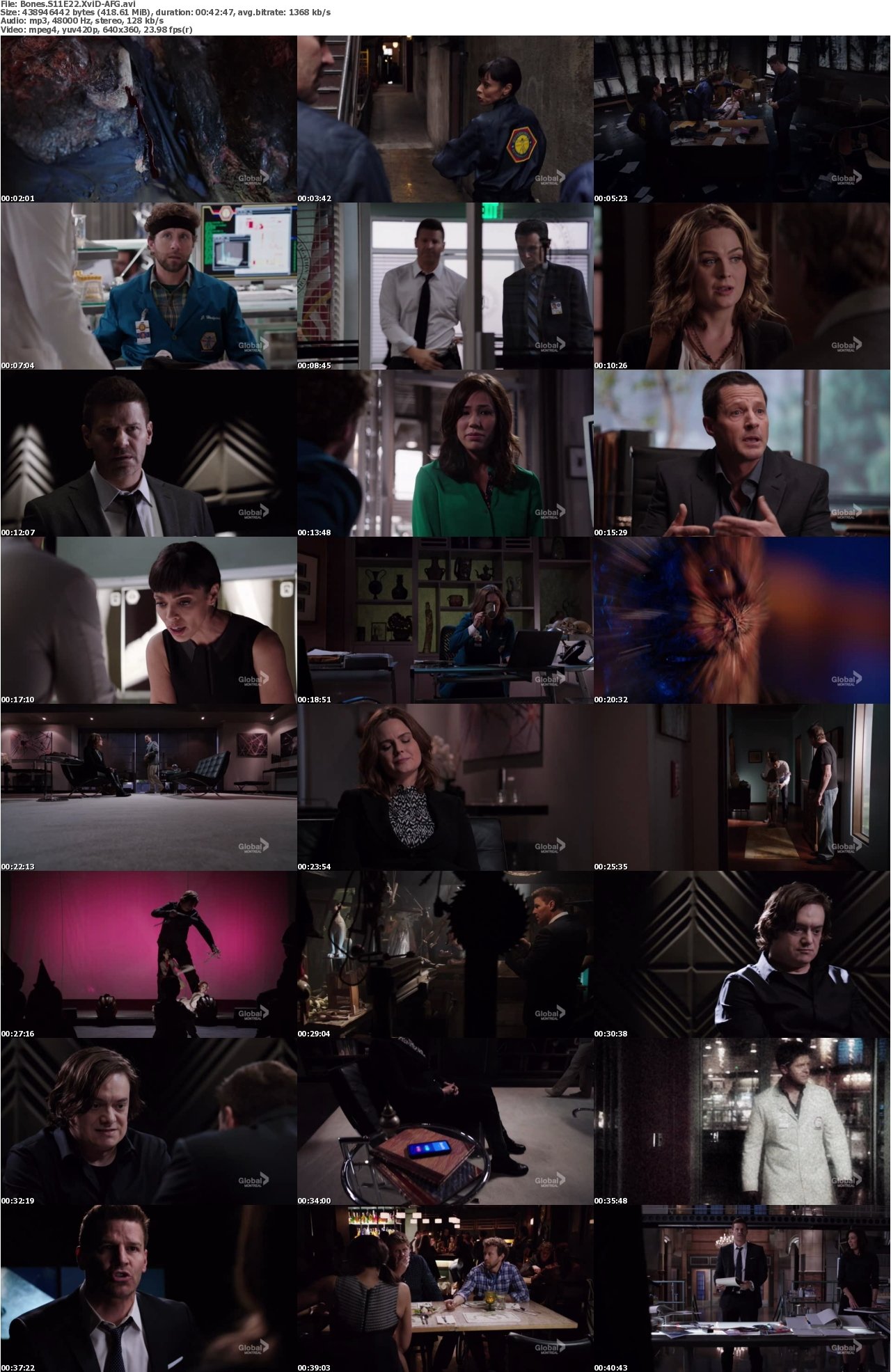 Bones S11E22 XviD-AFG