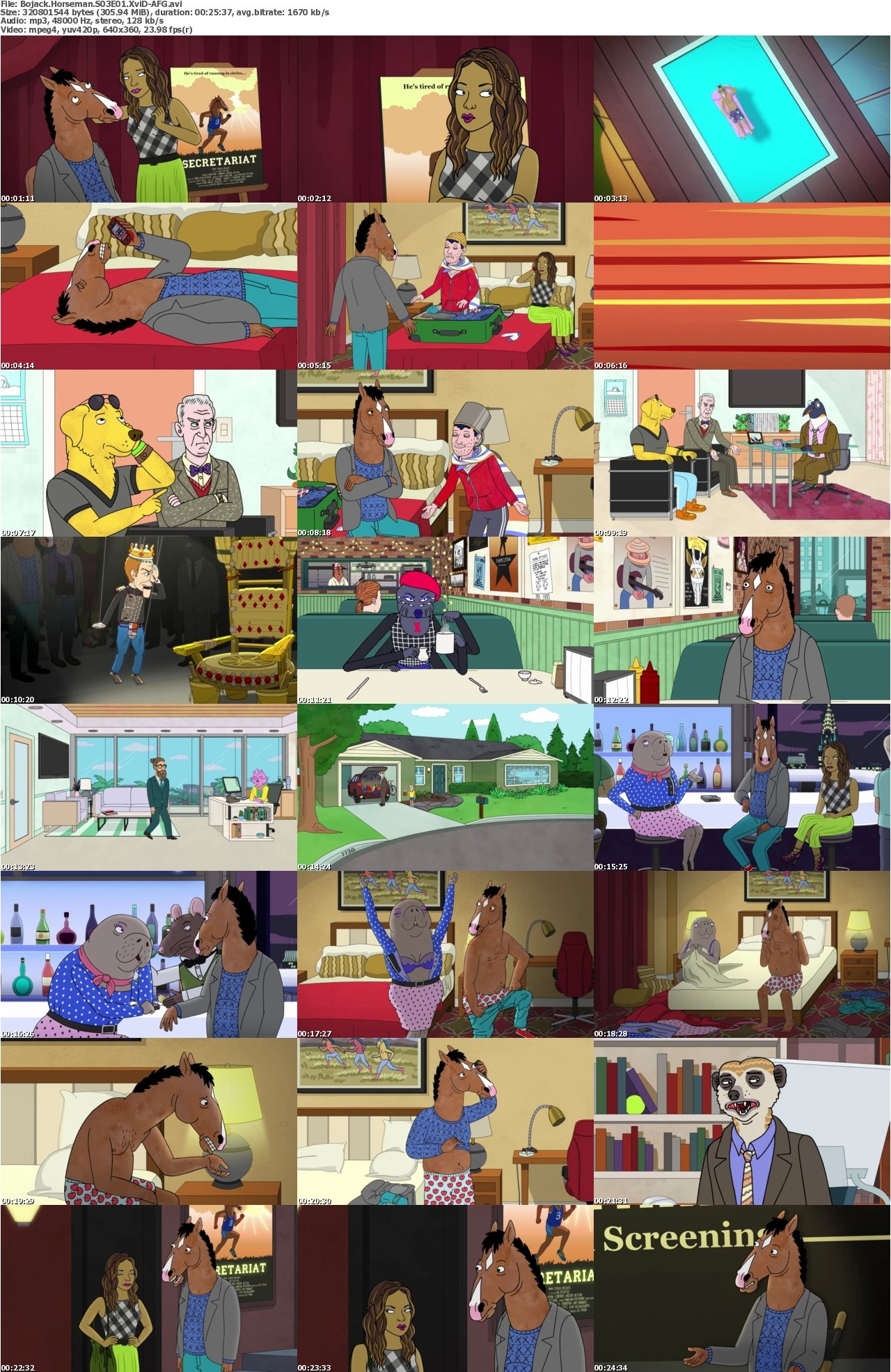 Bojack Horseman S03E01 XviD-AFG