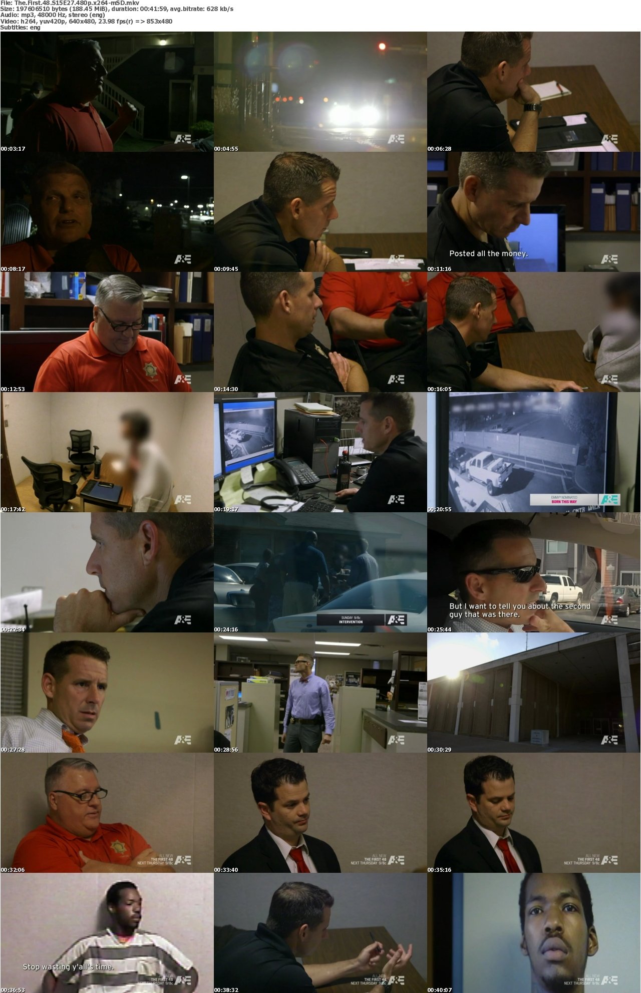 The First 48 S15E27 480p x264-mSD