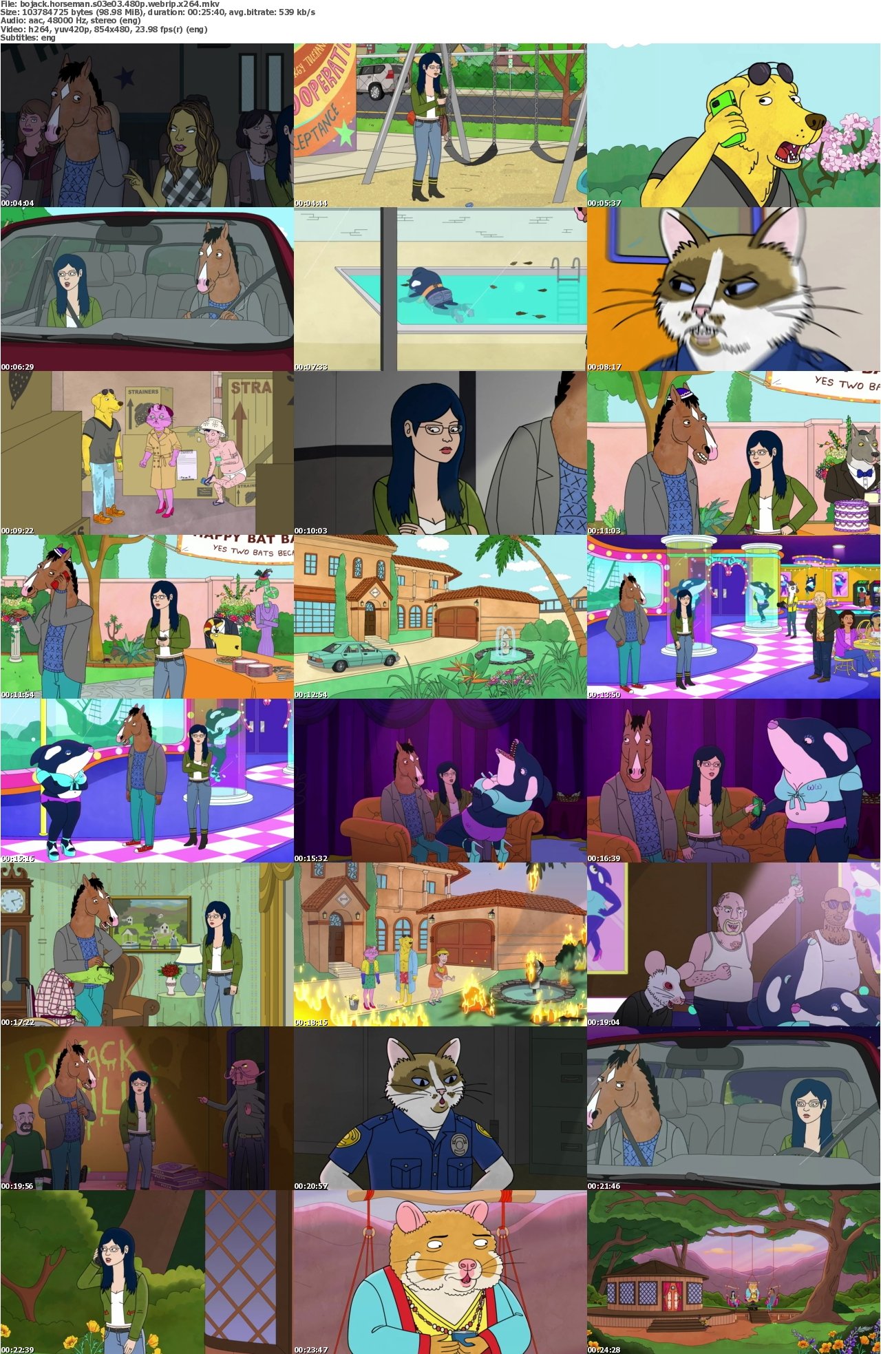 Bojack Horseman S03E03 480p WEBRip x264