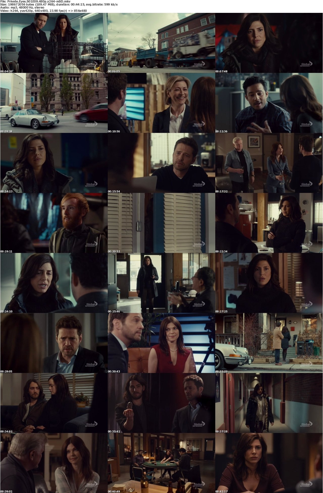 Private Eyes S01E09 480p x264-mSD