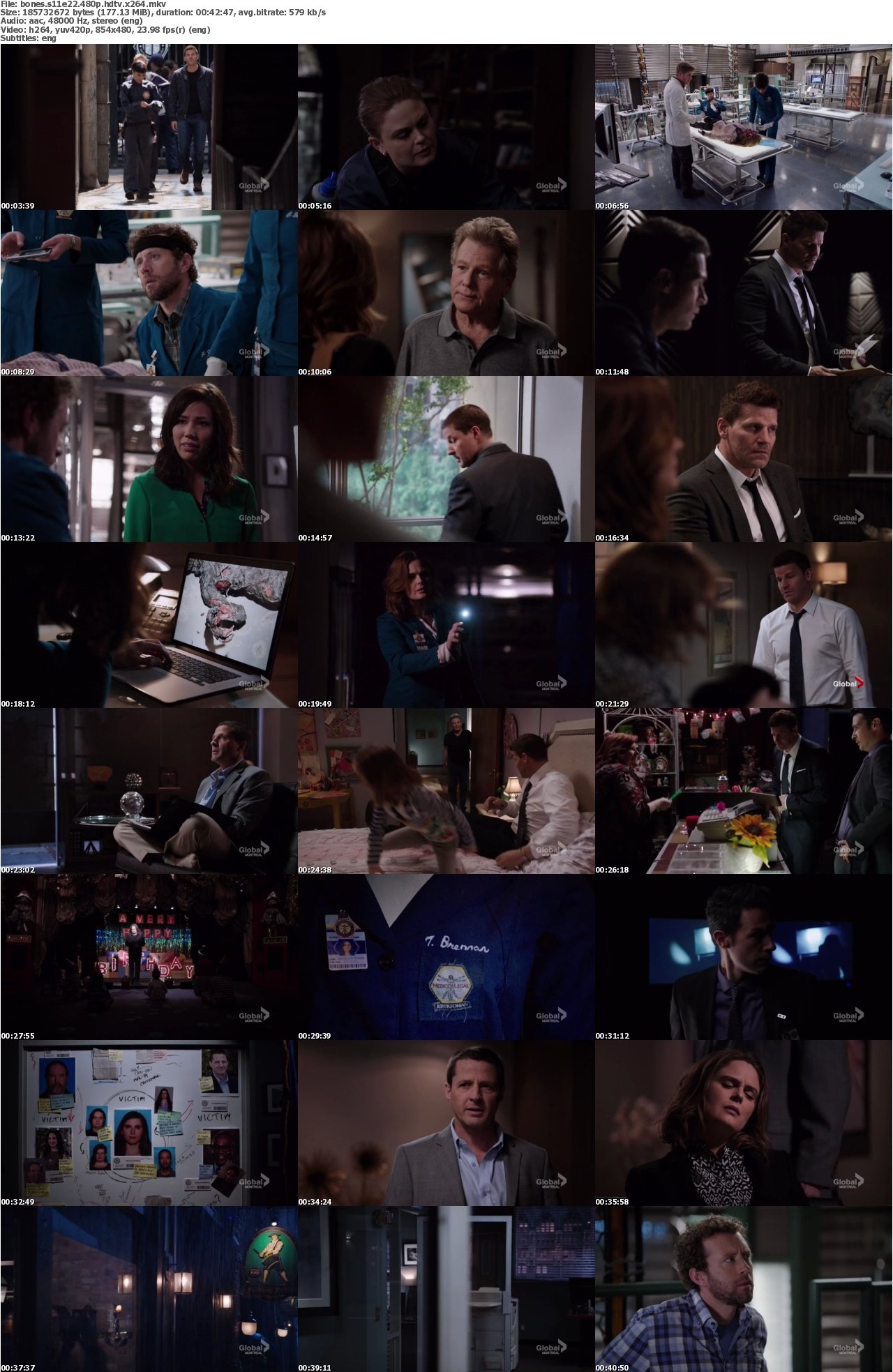 Bones S11E22 480p HDTV x264