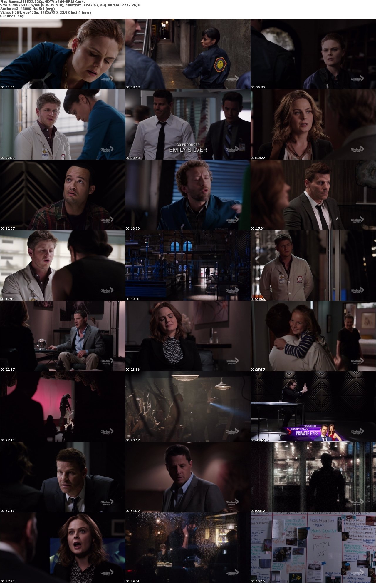 Bones S11E22 720p HDTV x264-BRISK