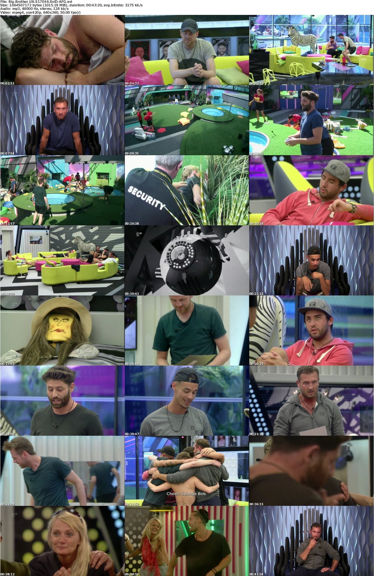 Big Brother UK S17E46 XviD-AFG