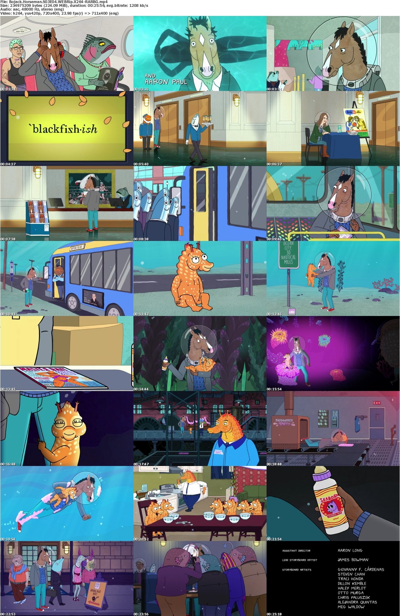 Bojack Horseman S03E04 WEBRip X264-RARBG