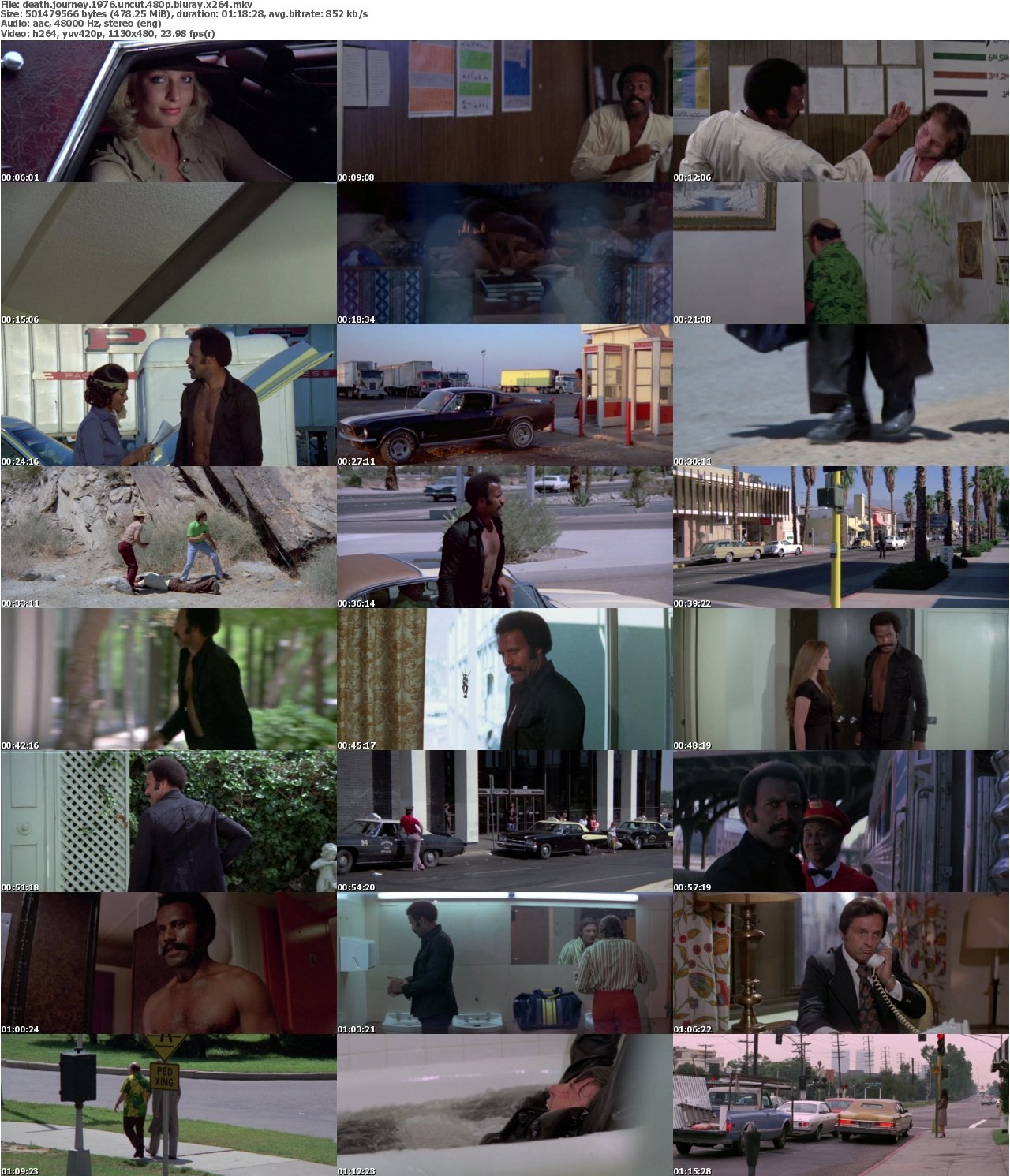 Death Journey 1976 UNCUT 480p BluRay x264