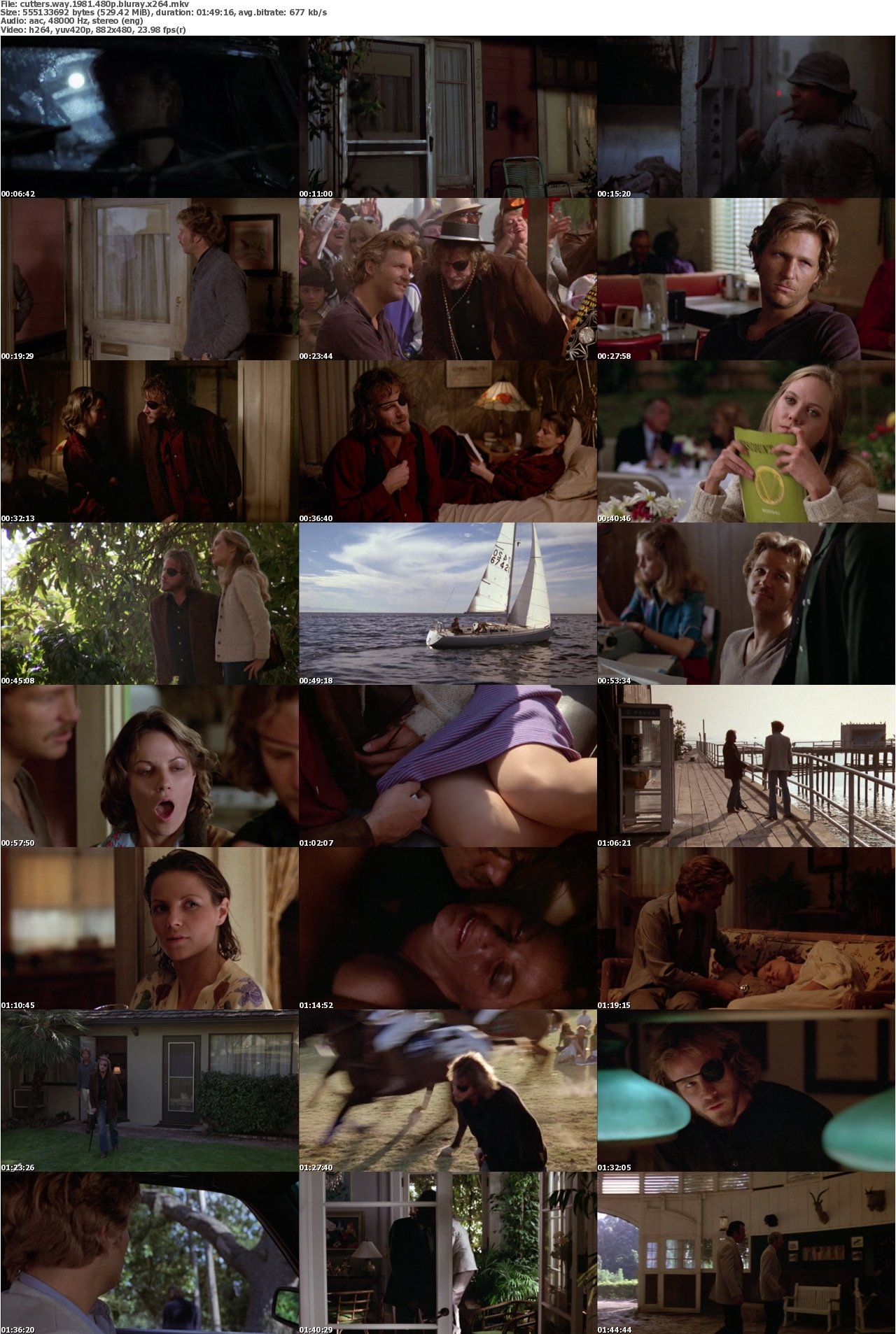 Cutters Way 1981 480p BluRay x264