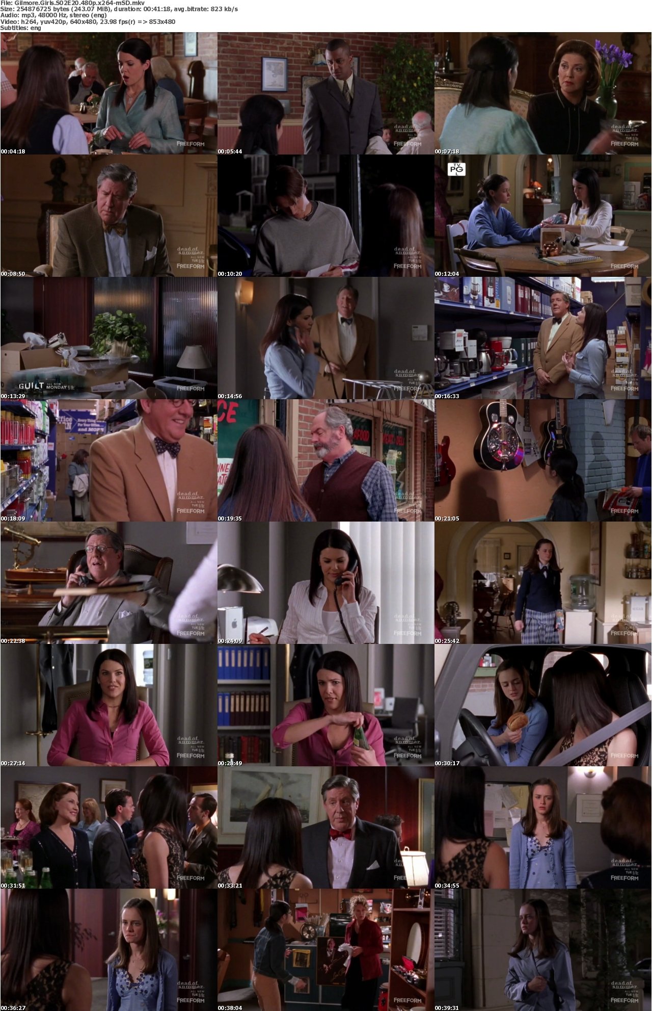 Gilmore Girls S02E20 480p x264-mSD