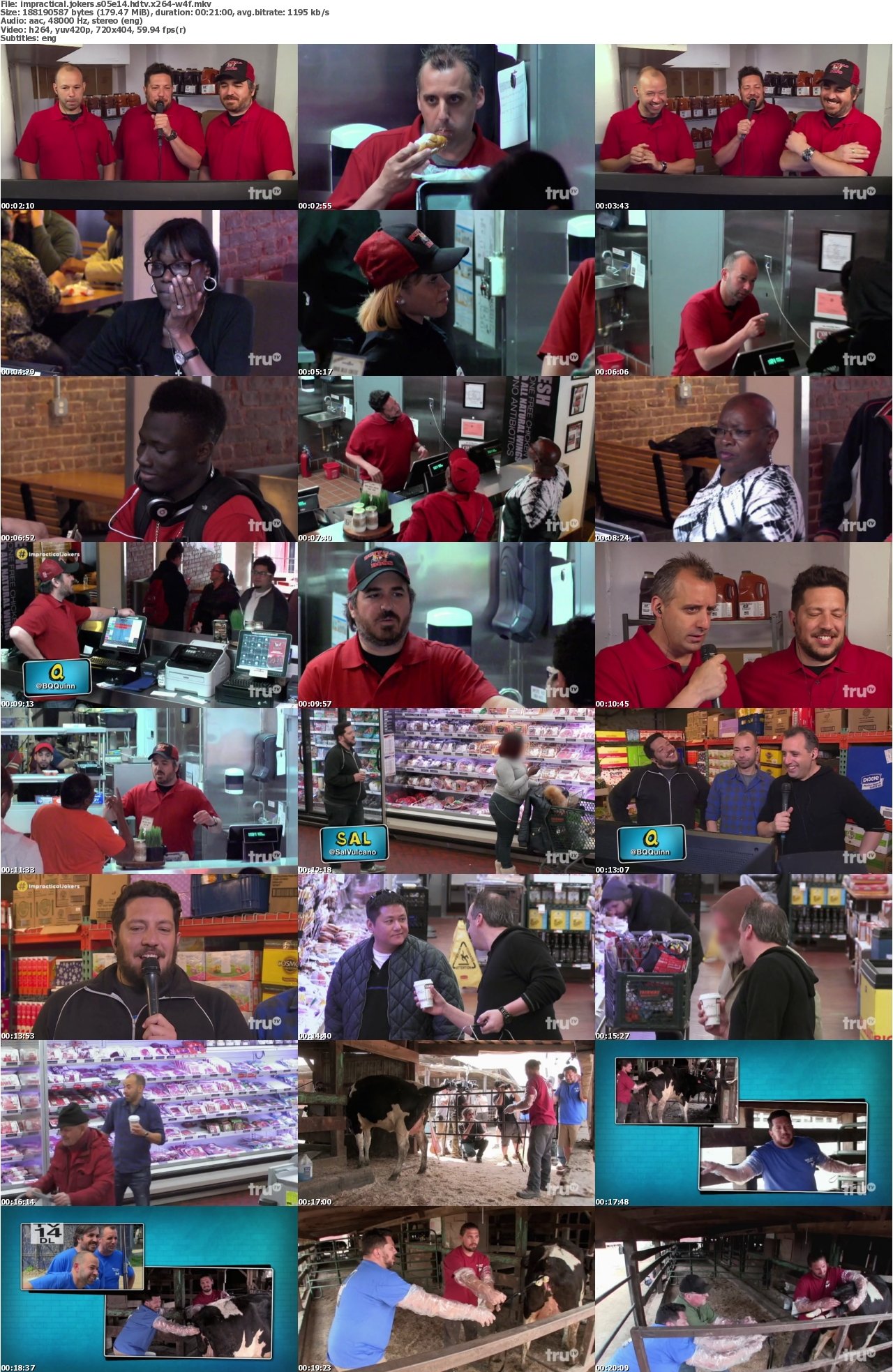 Impractical Jokers S05E14 HDTV x264-W4F