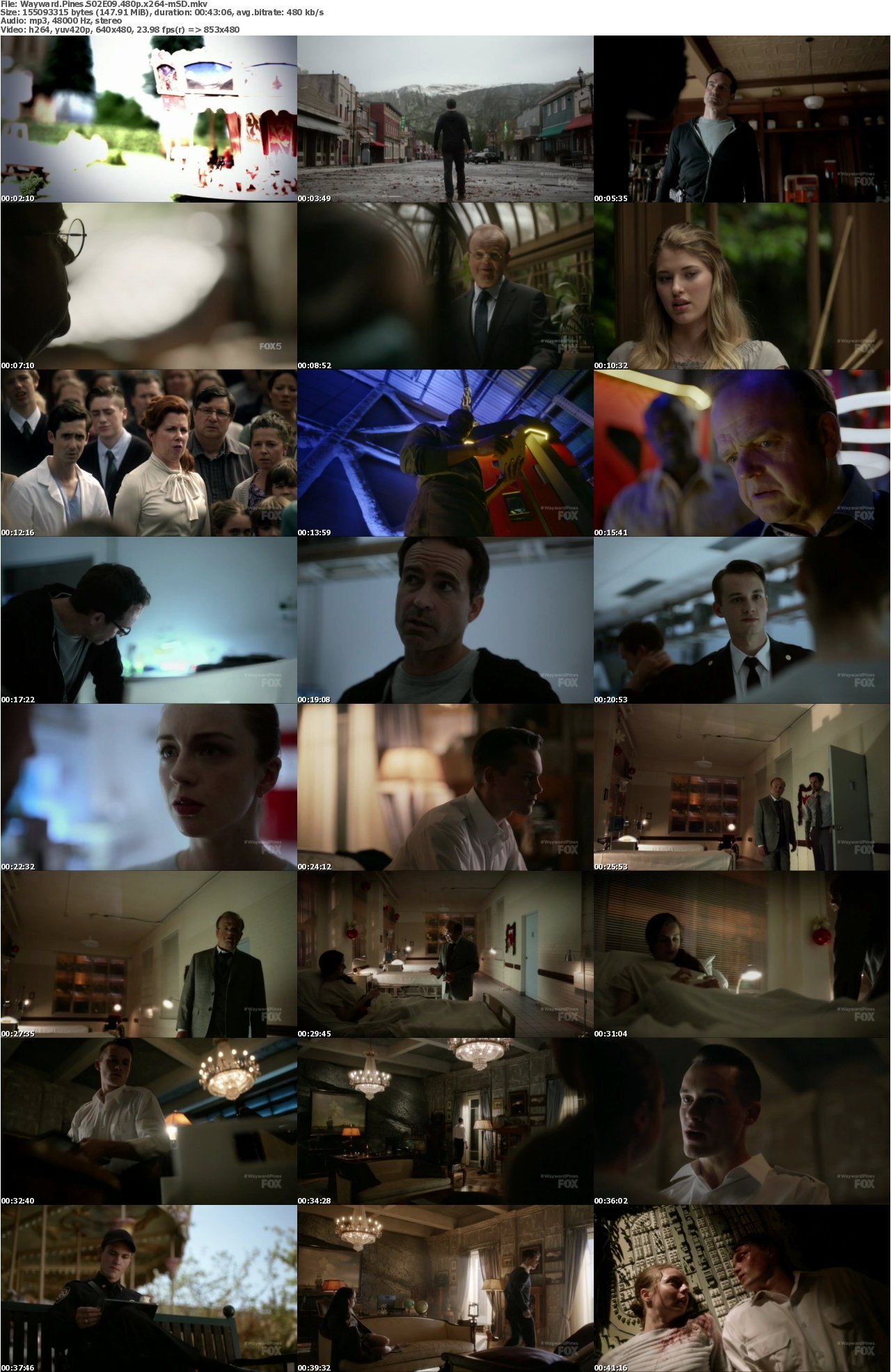 Wayward Pines S02E09 480p x264-mSD