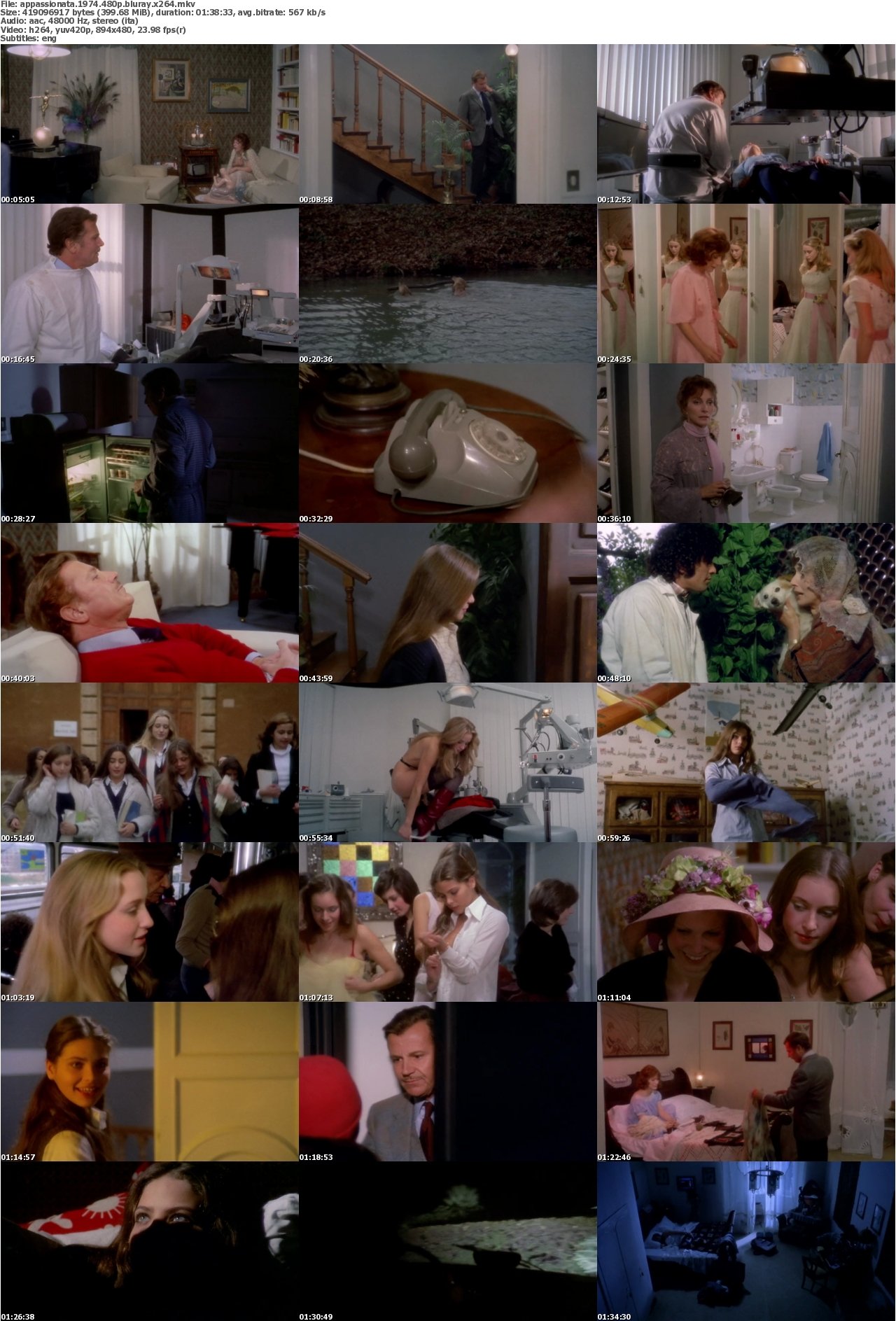 Appassionata 1974 480p BluRay x264