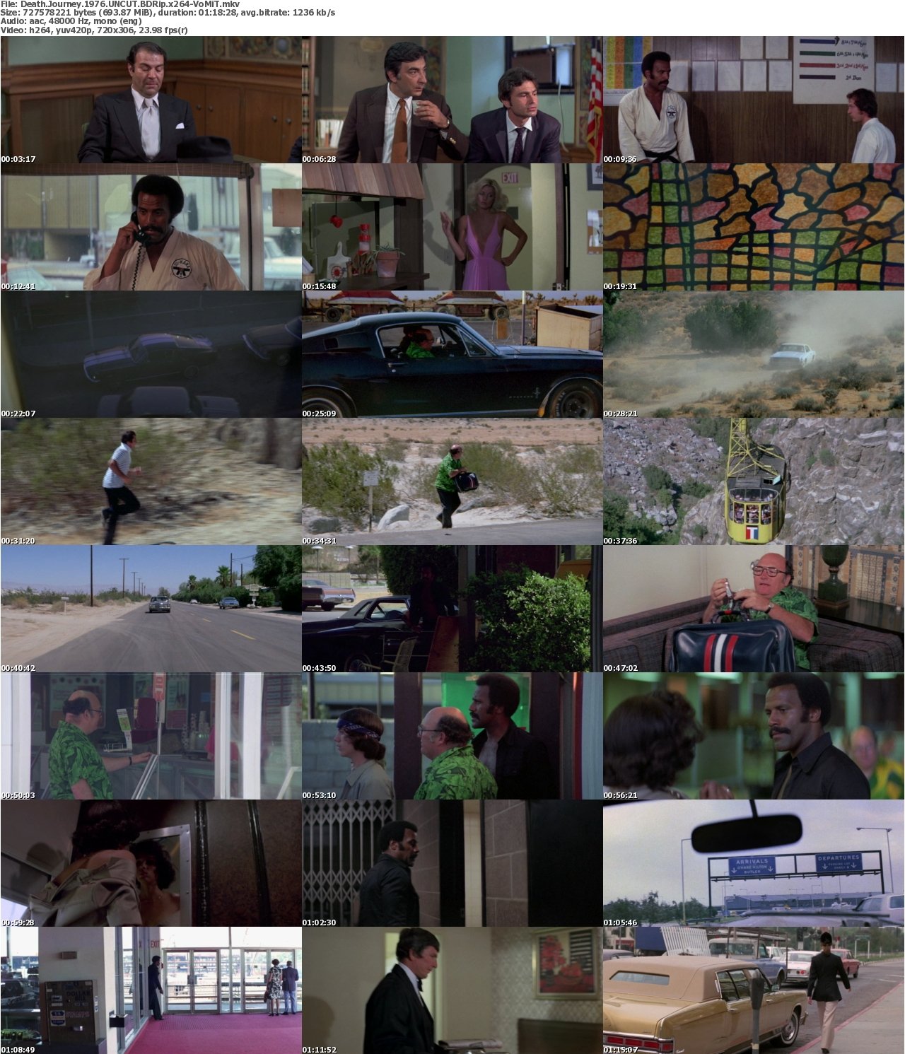 Death Journey 1976 UNCUT BDRip x264-VoMiT