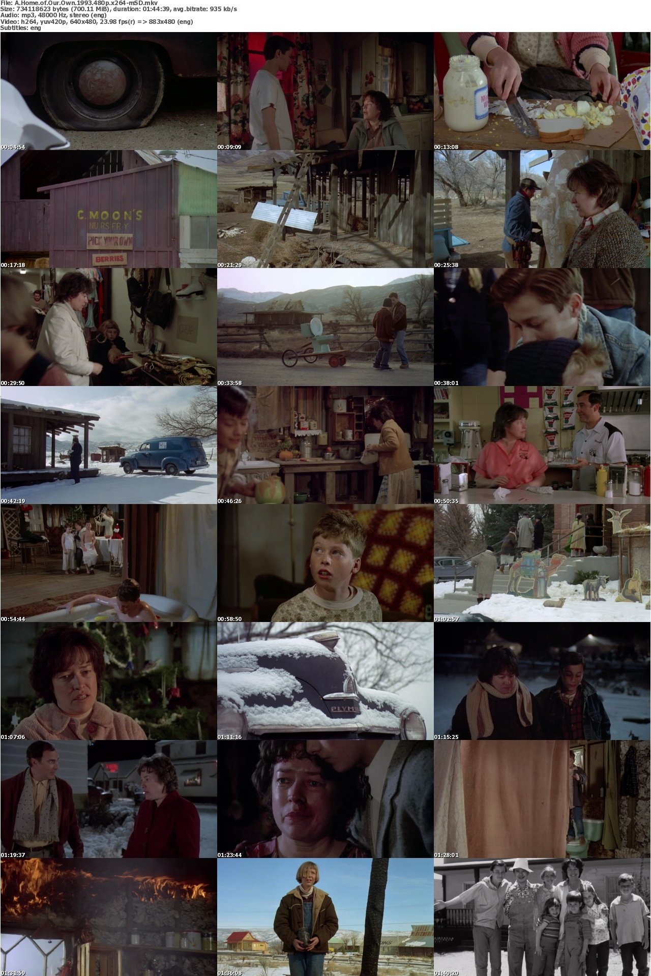 A Home of Our Own 1993 480p x264-mSD