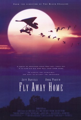 Fly Away Home 1997 BRRip XviD MP3-RARBG