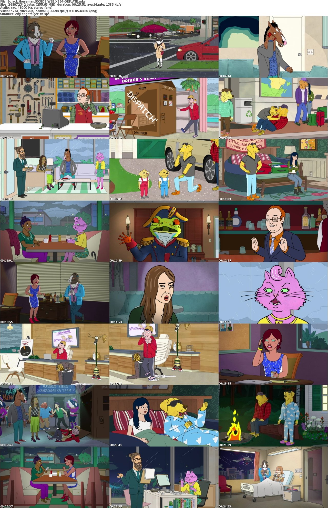 Bojack Horseman S03E08 WEB X264-DEFLATE