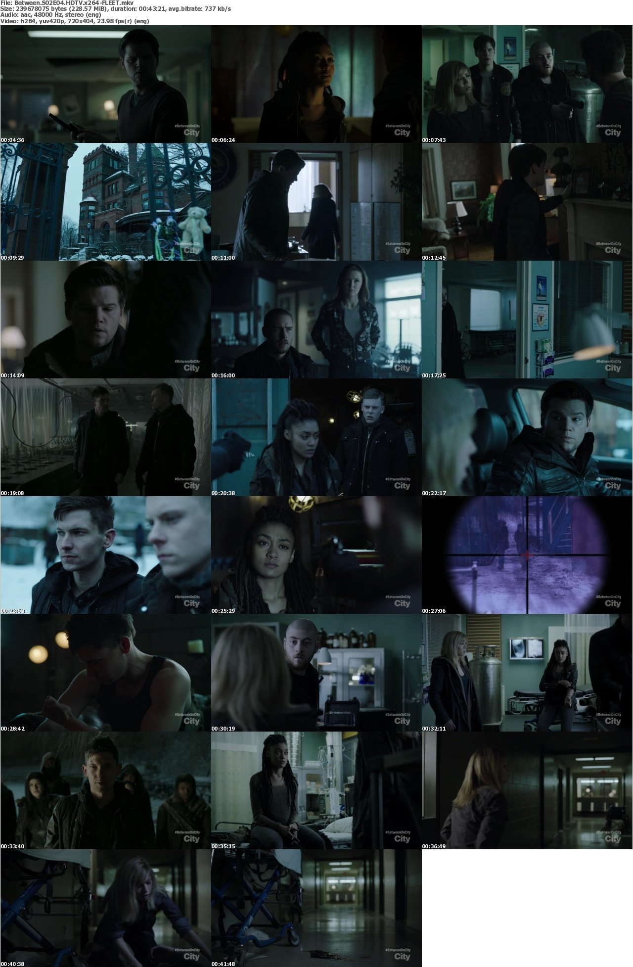 Between S02E04 HDTV x264-FLEET