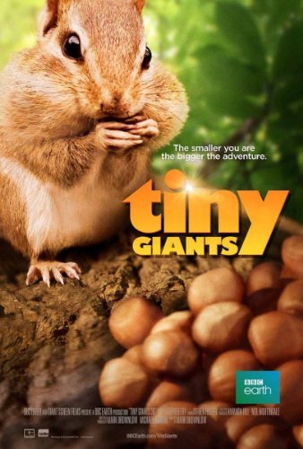 Tiny Giants 2014 BDRip x264-VoMiT