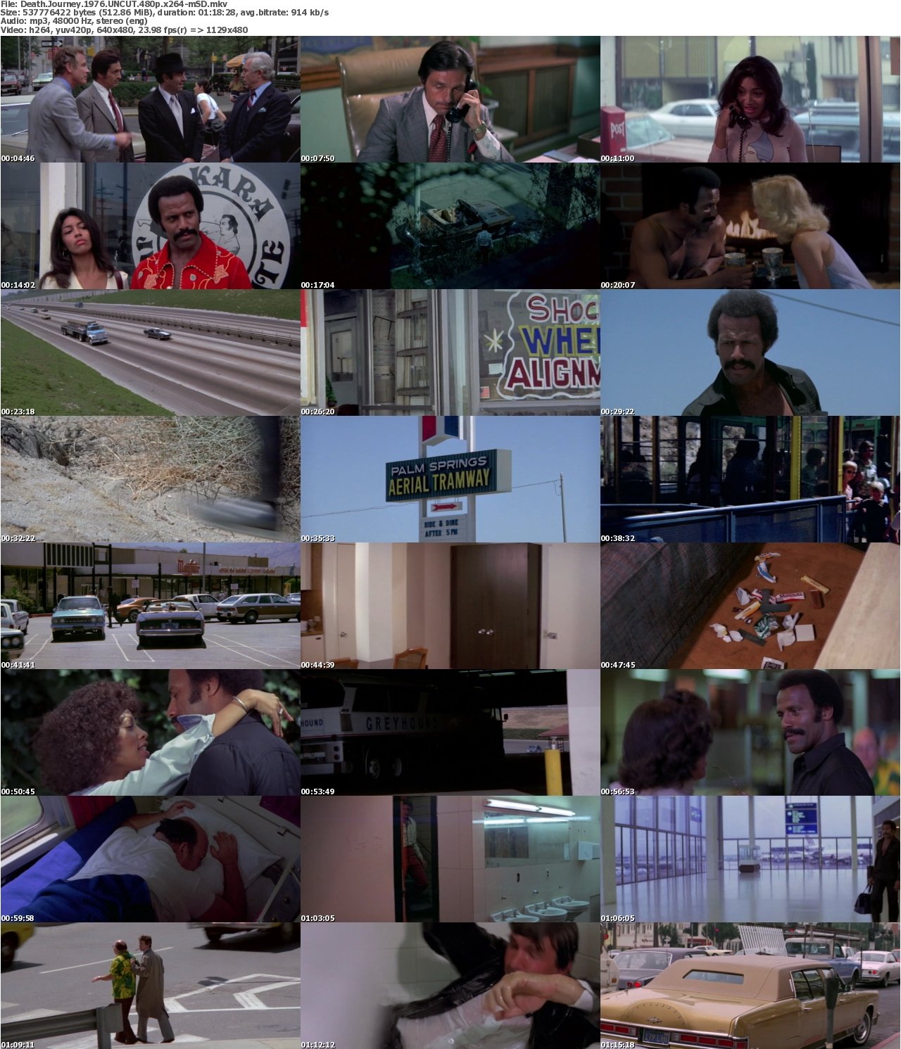 Death Journey 1976 UNCUT 480p x264-mSD