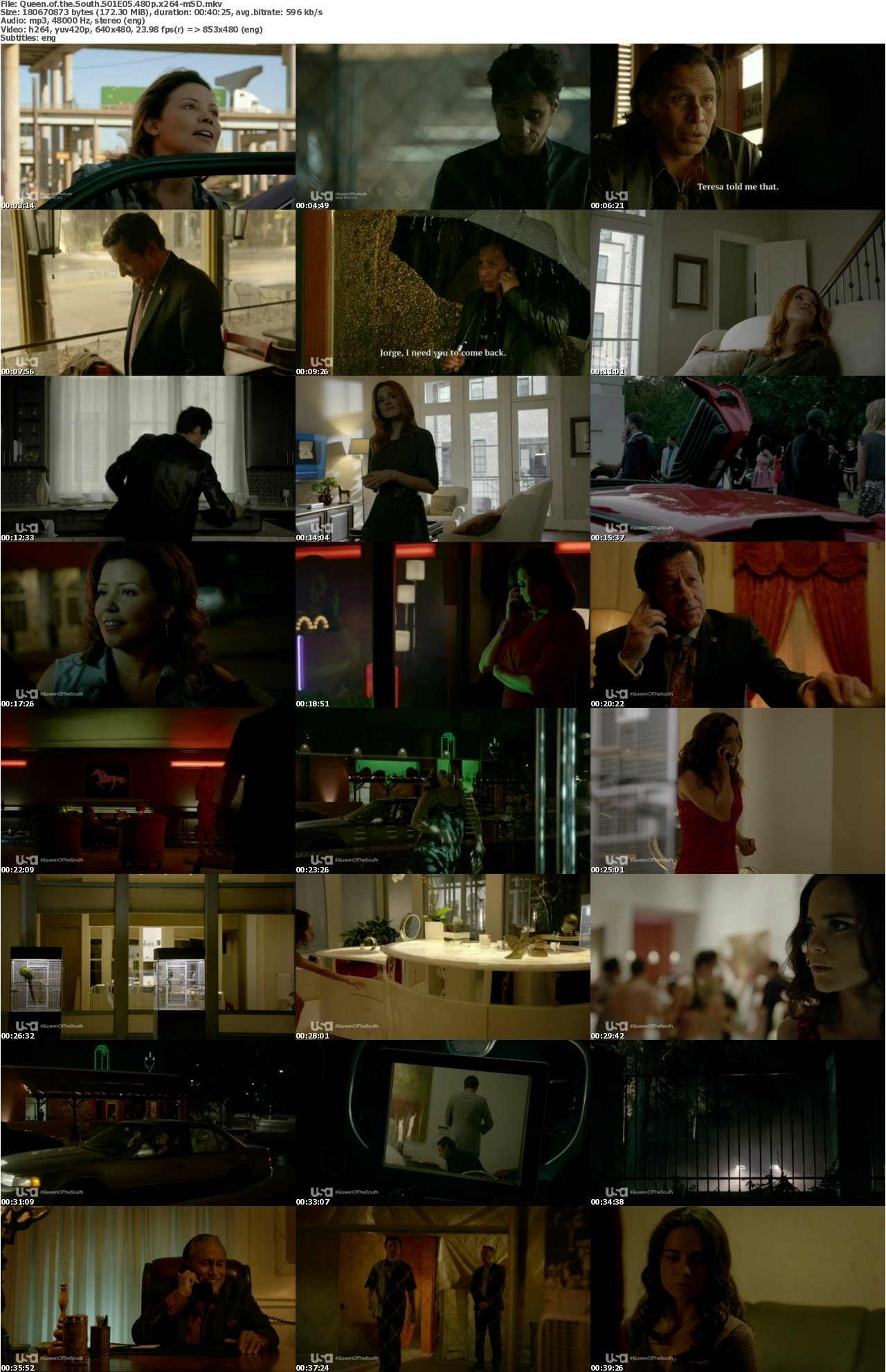 Queen of the South S01E05 480p x264-mSD