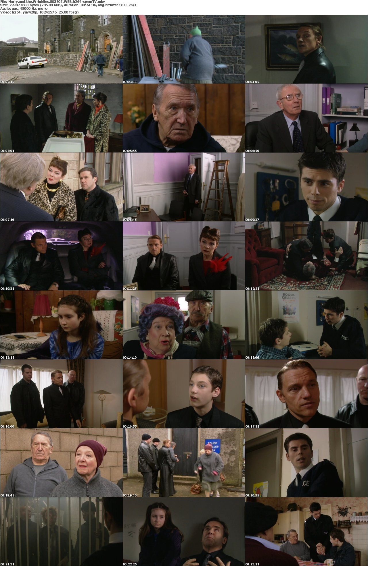 Harry and the Wrinklies S03E07 WEB h264-spamTV