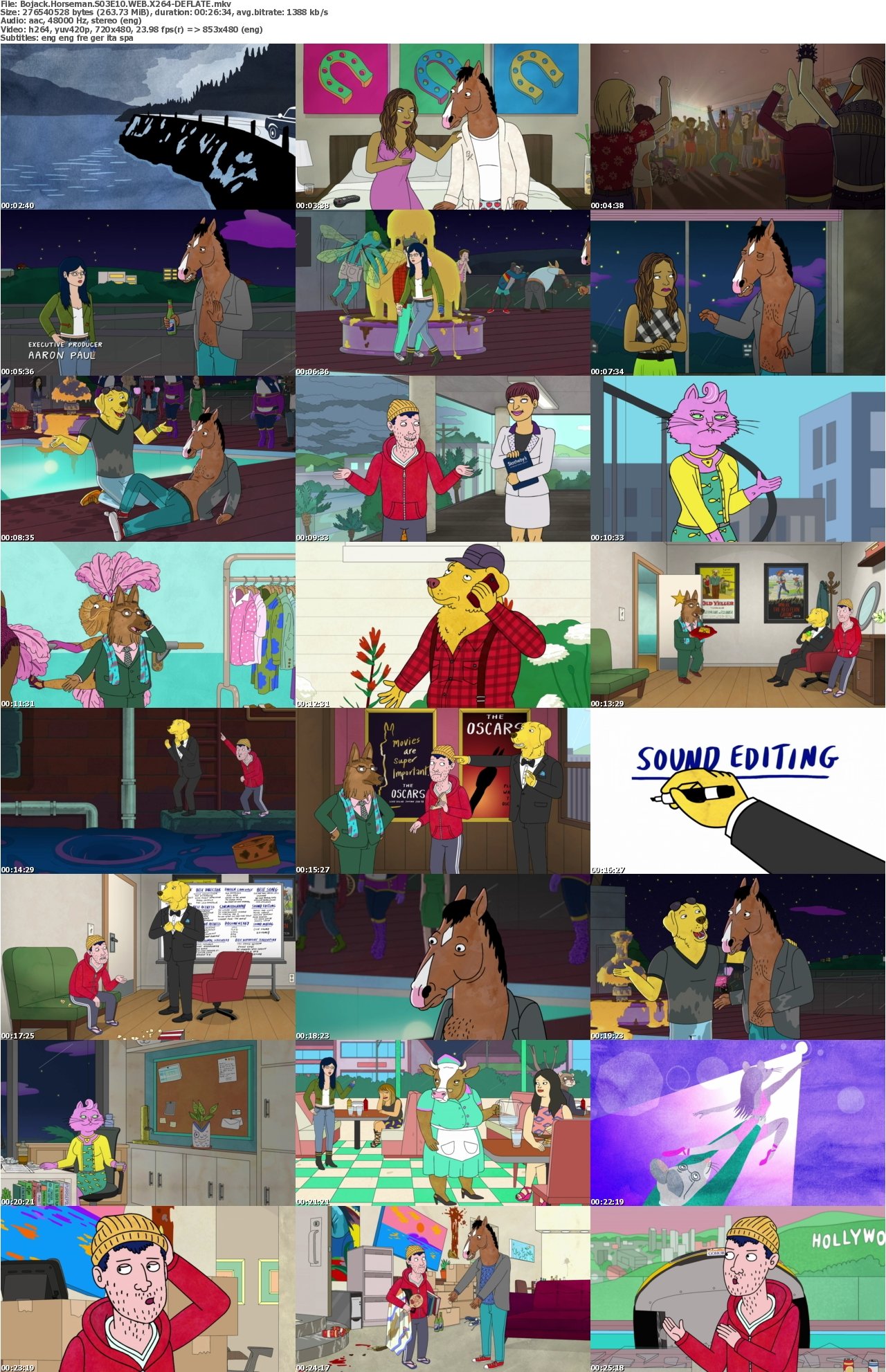 Bojack Horseman S03E10 WEB X264-DEFLATE