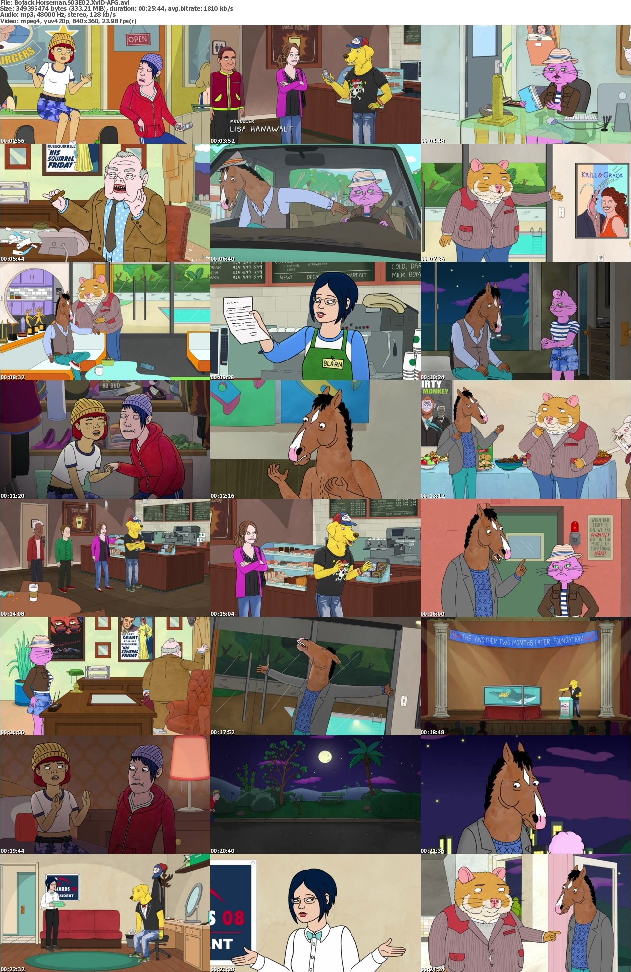 Bojack Horseman S03E02 XviD-AFG