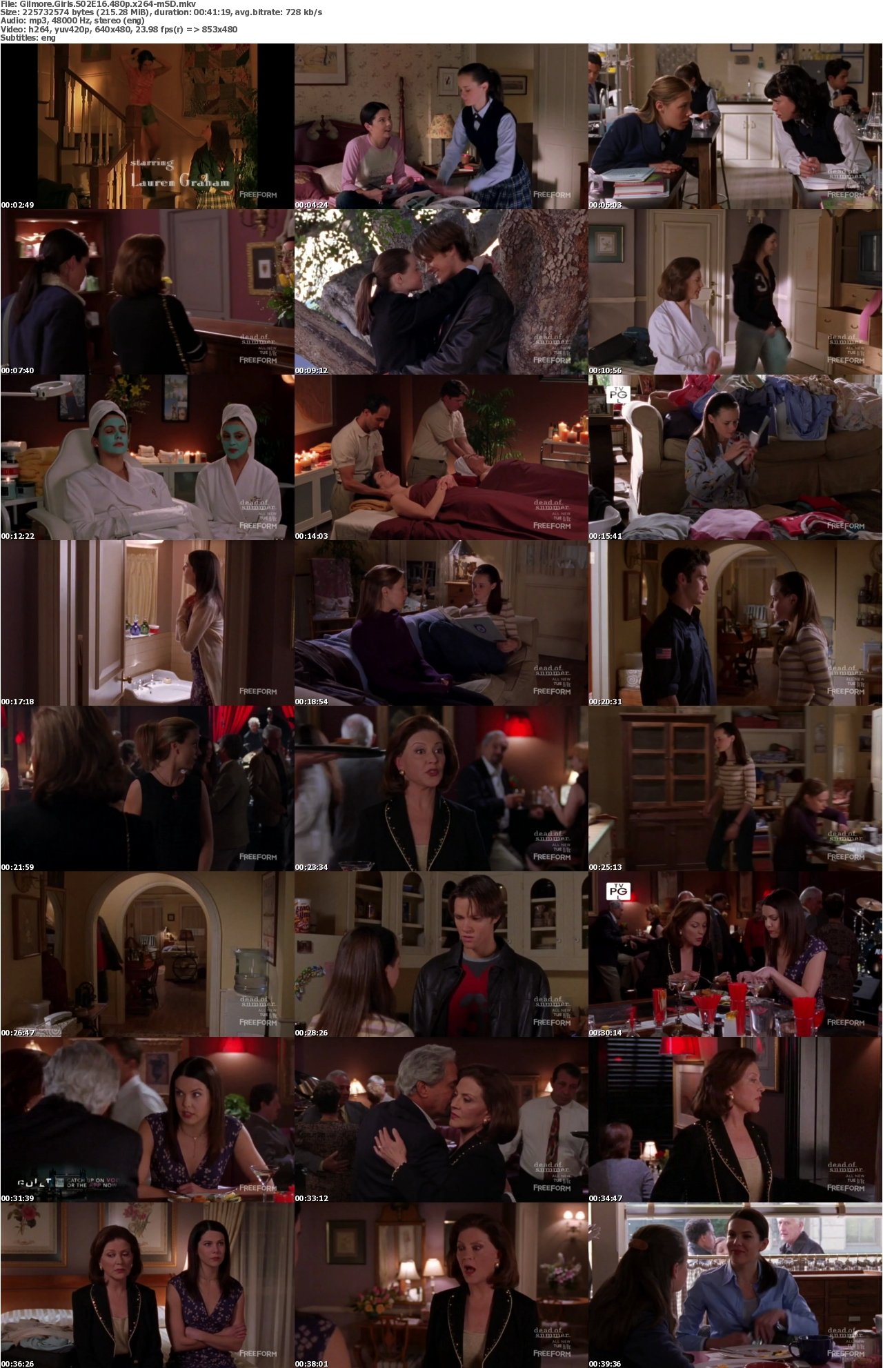 Gilmore Girls S02E16 480p x264-mSD